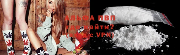 сатива Баксан