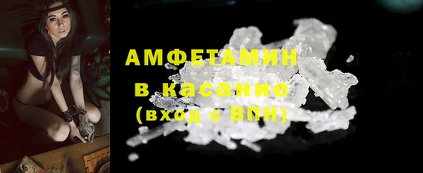 сатива Баксан