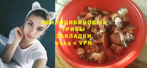 сатива Баксан